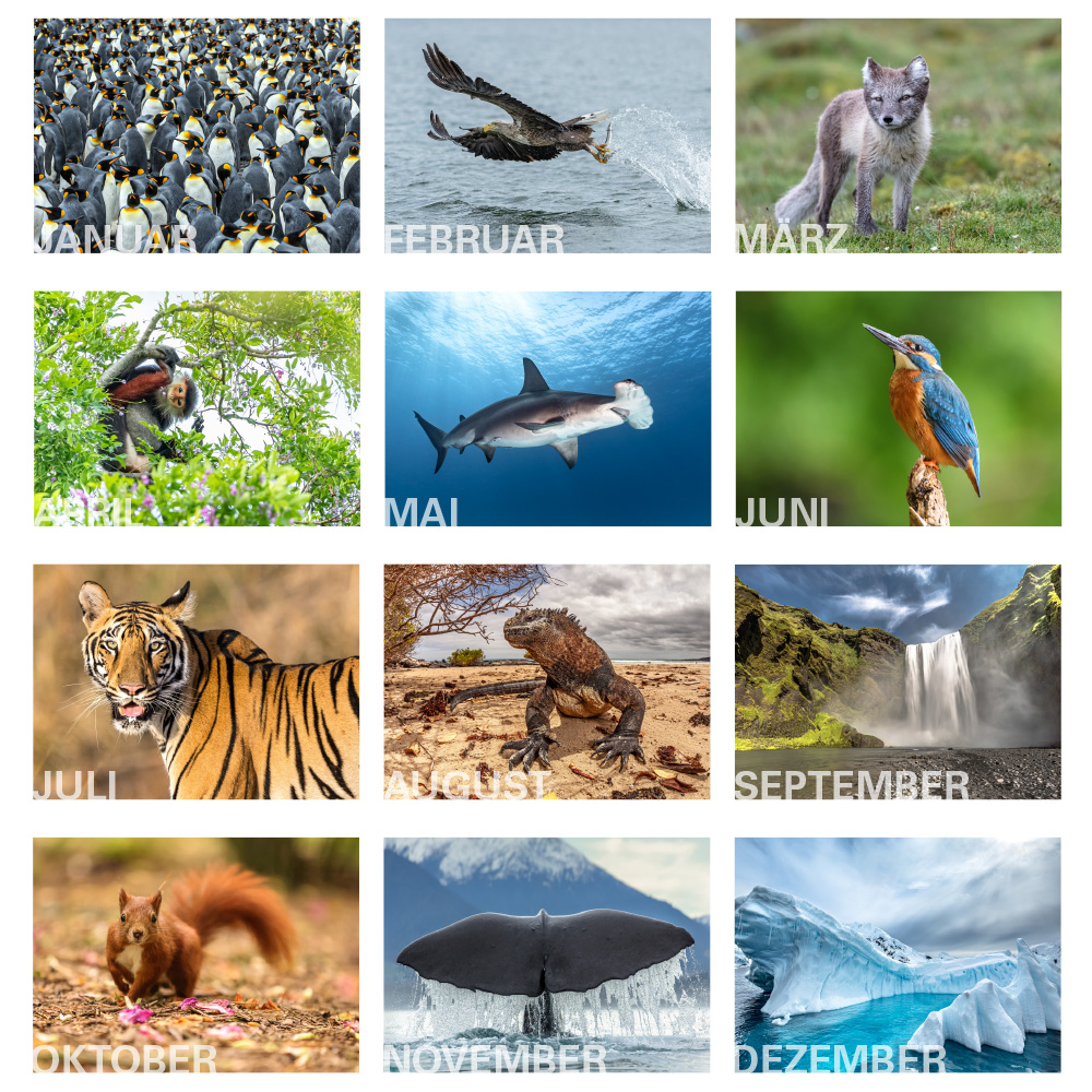 910292_my_cross_nature_kalender_monate 910292_my_cross_nature_kalender_monate01910